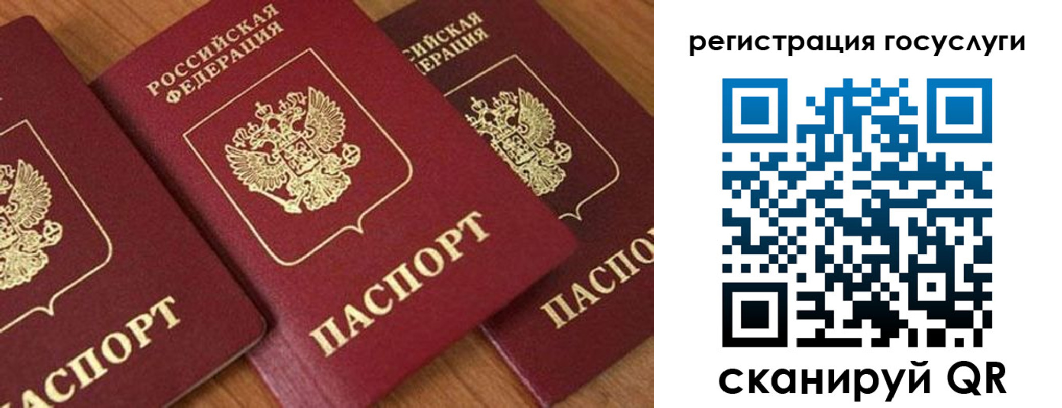 временная регистрация гарантия в Владивостоке